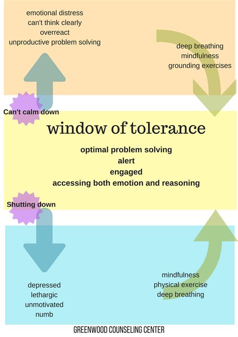 Window of tolerance activity
